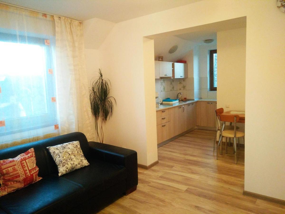 Smb Holiday Apartment Брашов Экстерьер фото